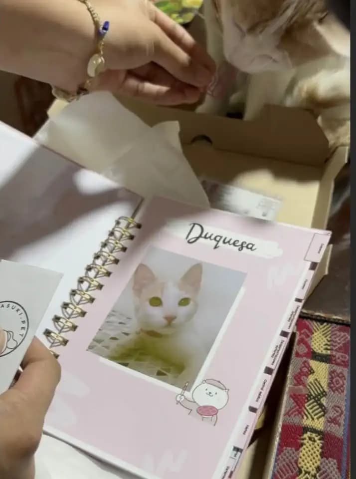Video Bitácora para Mascotas