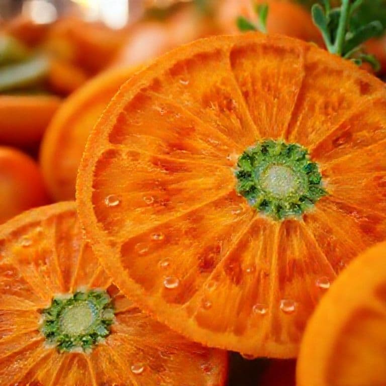 Close-up de zanahorias mostrando su textura y color vibrante